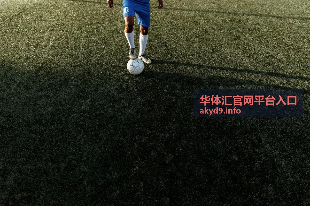 华体汇平台日常账号安全维护